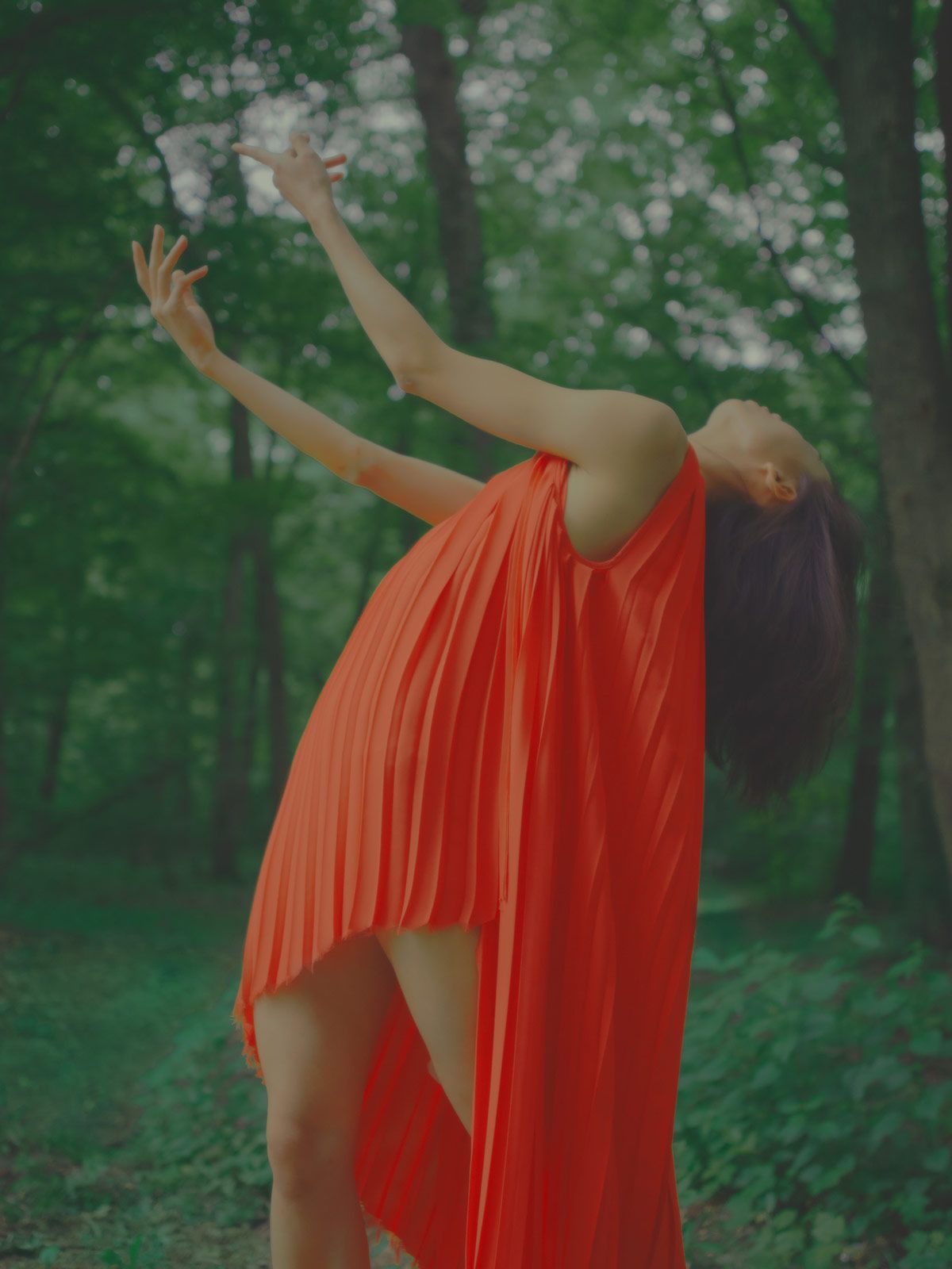 Willand Joan Dancing in the Wood Metalmagazine 11.jpg