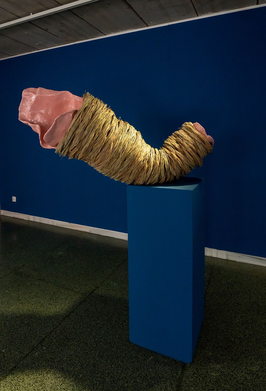 Sandretto_obr_as004.jpg