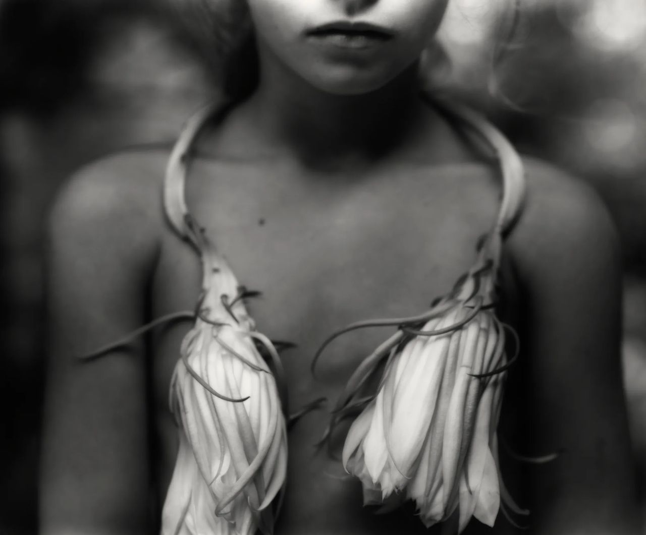 metal-sally-mann-10.webp