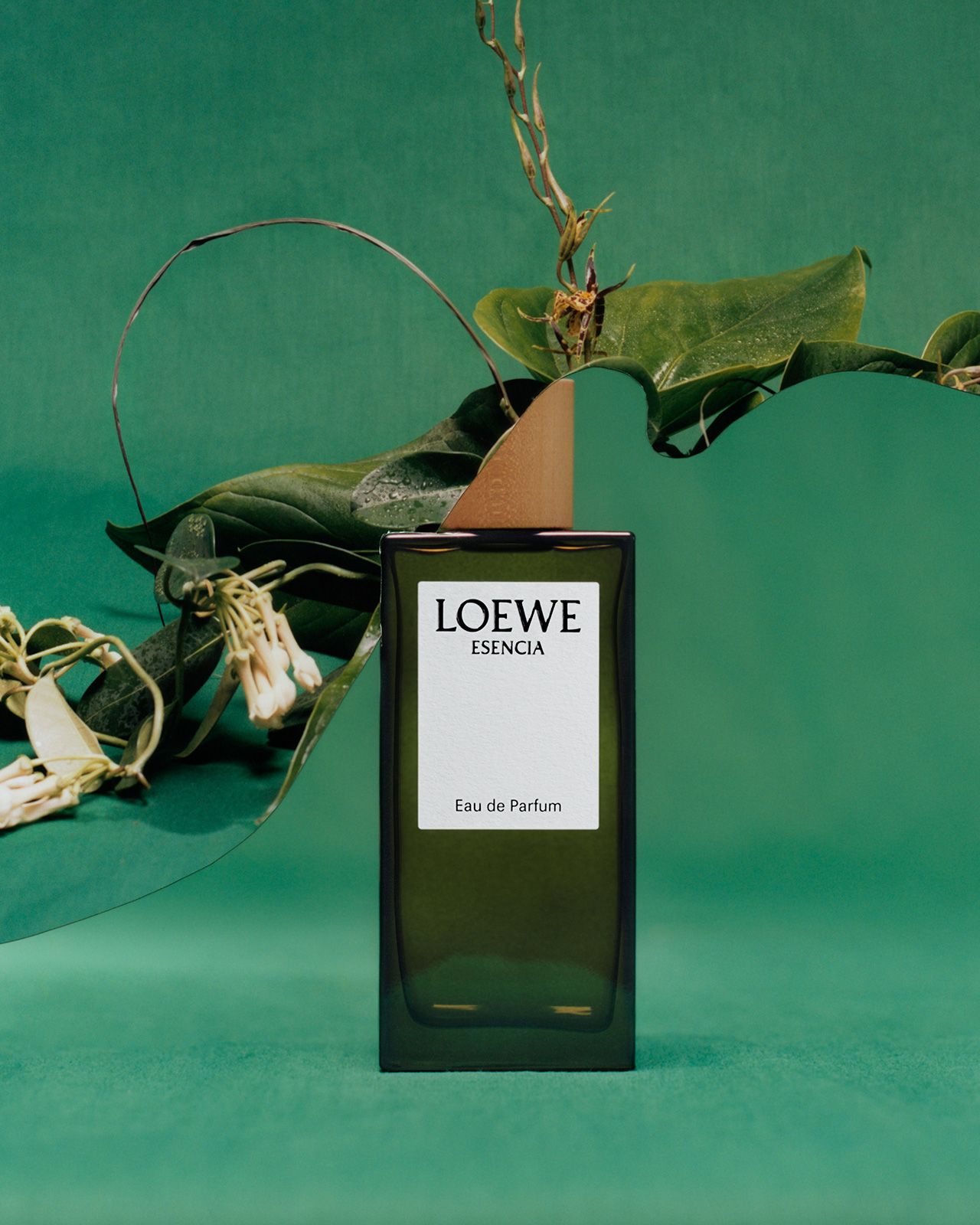 Loewe Perfumes 5.jpg