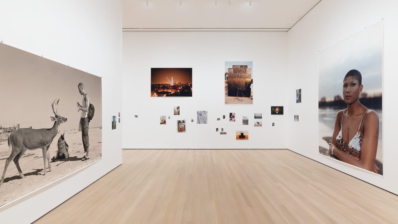 Wolfgang Tillmans to Look Without Fear Installation Image 2.jpeg