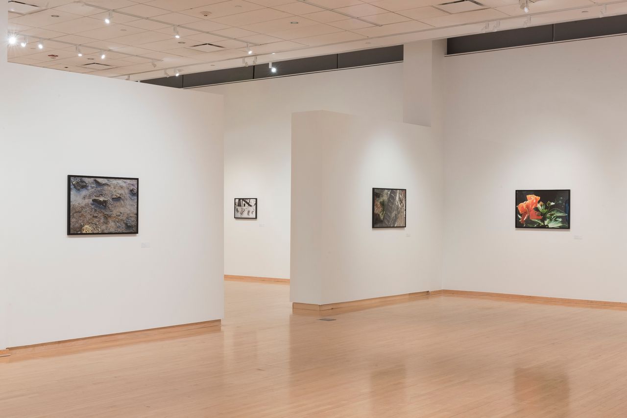 Exhibition Installation1.jpg