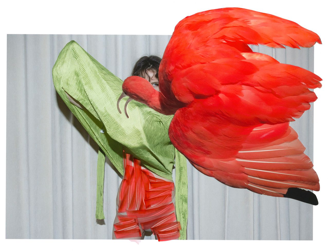 Eudocimus-Ruber-from-the-series-Of-Mud-and-Lotus-2017-C-viviane-Sassen-and-Stevenson.jpg