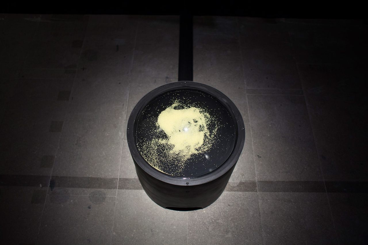 Ir Arsenale 50 Kader Attia 1403.jpg