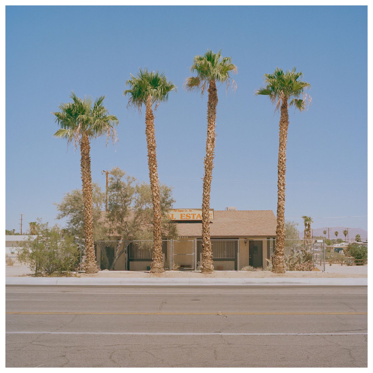 Anthony Gerace Metalmagazine 7.jpg