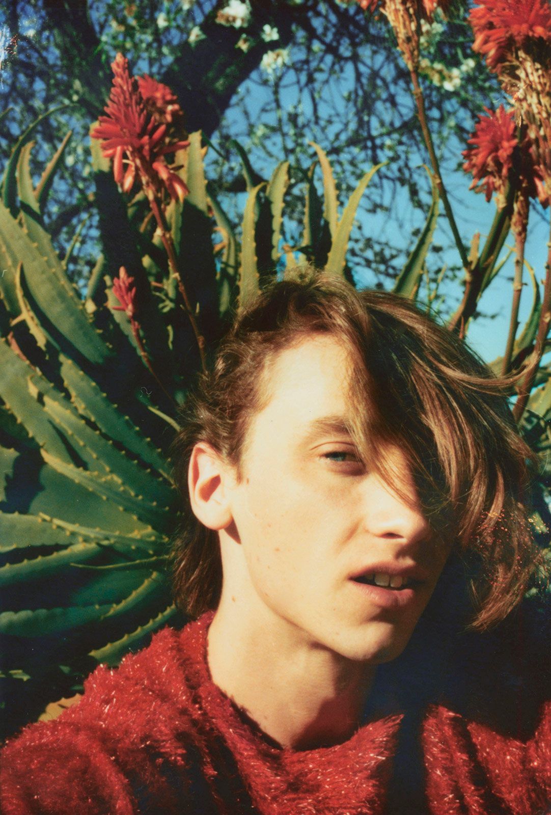 Christian Colomer 16.jpg