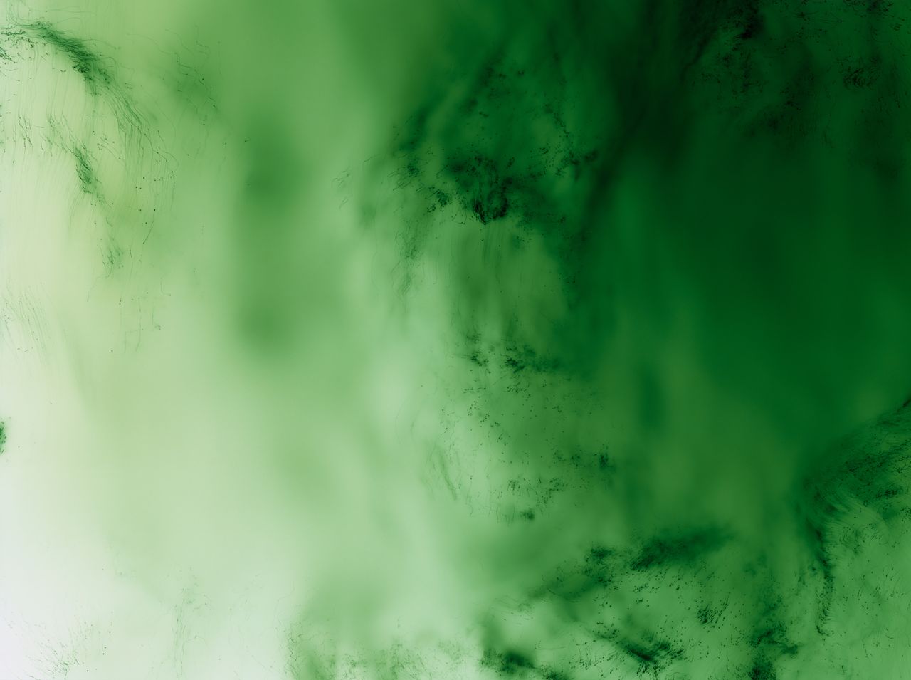 2015 006 Greifbar 21 A4.jpg