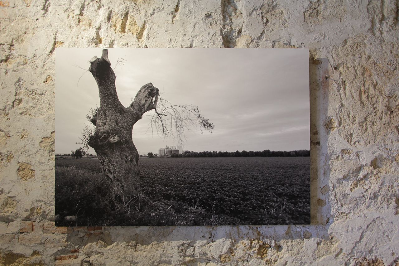 Orlow Uriel Img 2013 Wolfgang Traeger.jpg