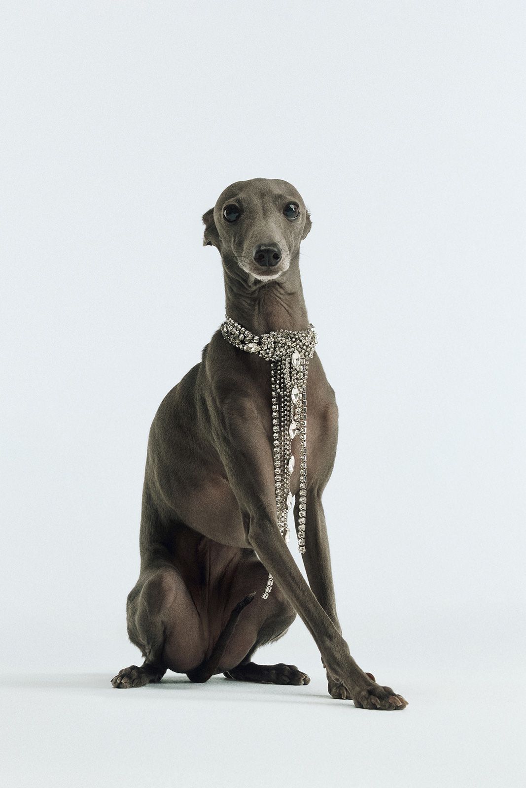 A-VERY-BIMBA-XMAS_BIMBA-Y-LOLA_1.jpg