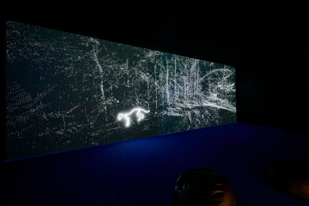 Daniel_Steegmann_expo_4.jpg