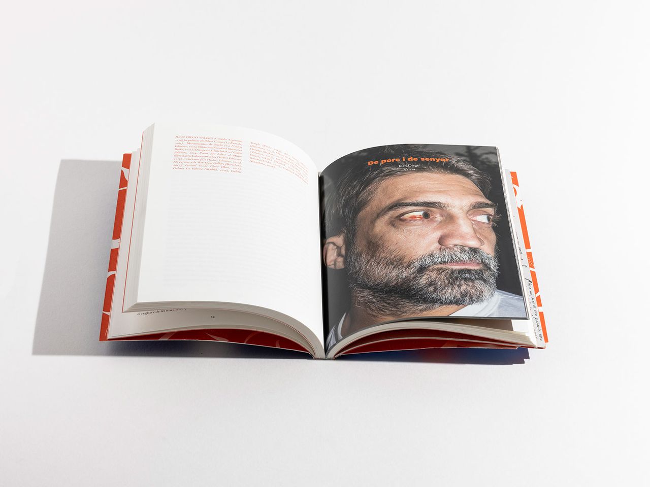 Carndecap Metalmagazine 8.jpg