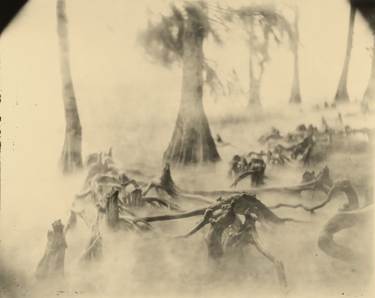 metal-sally-mann-05.webp