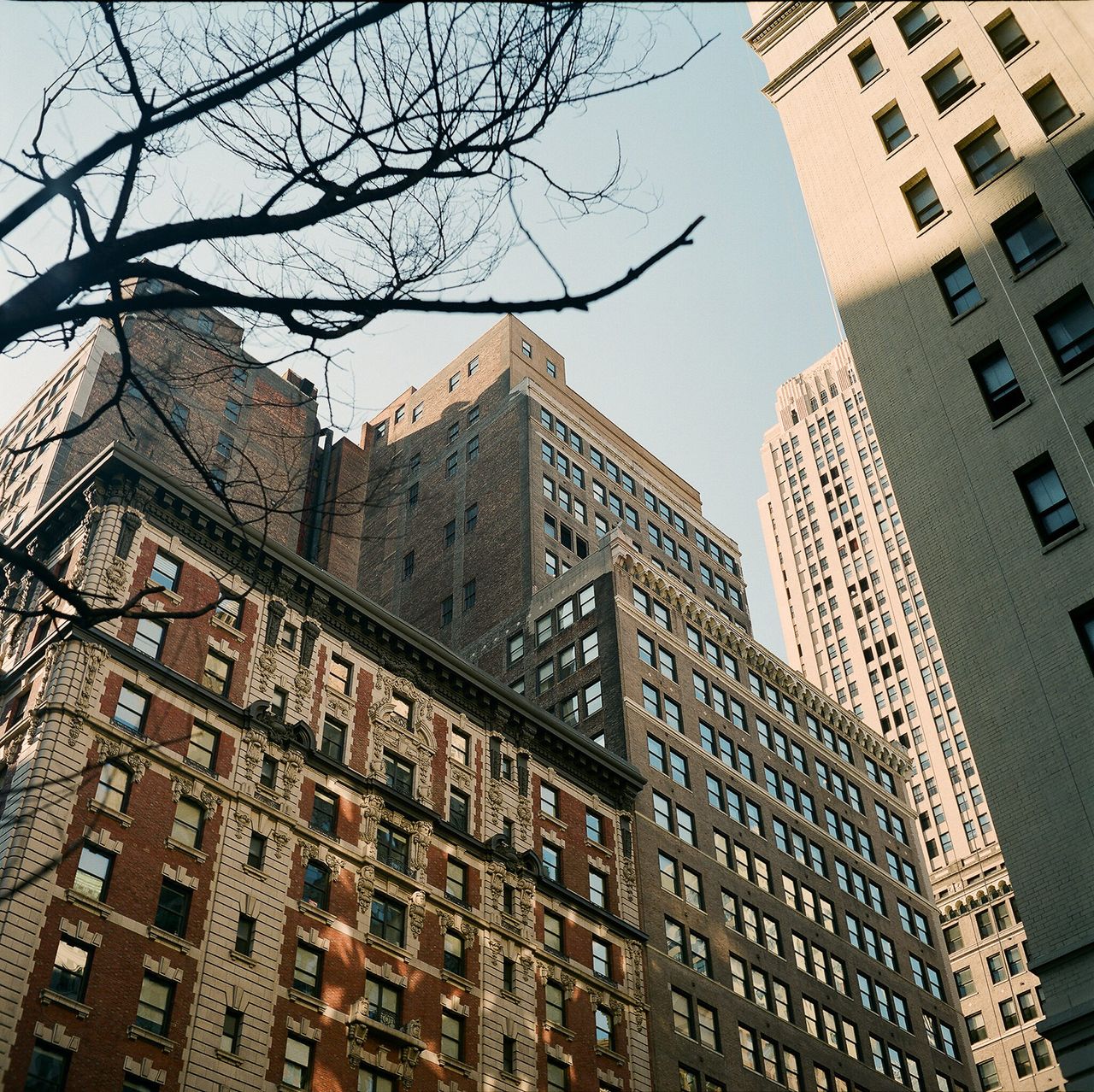 Beatriz Janer Ny the Corner.jpg