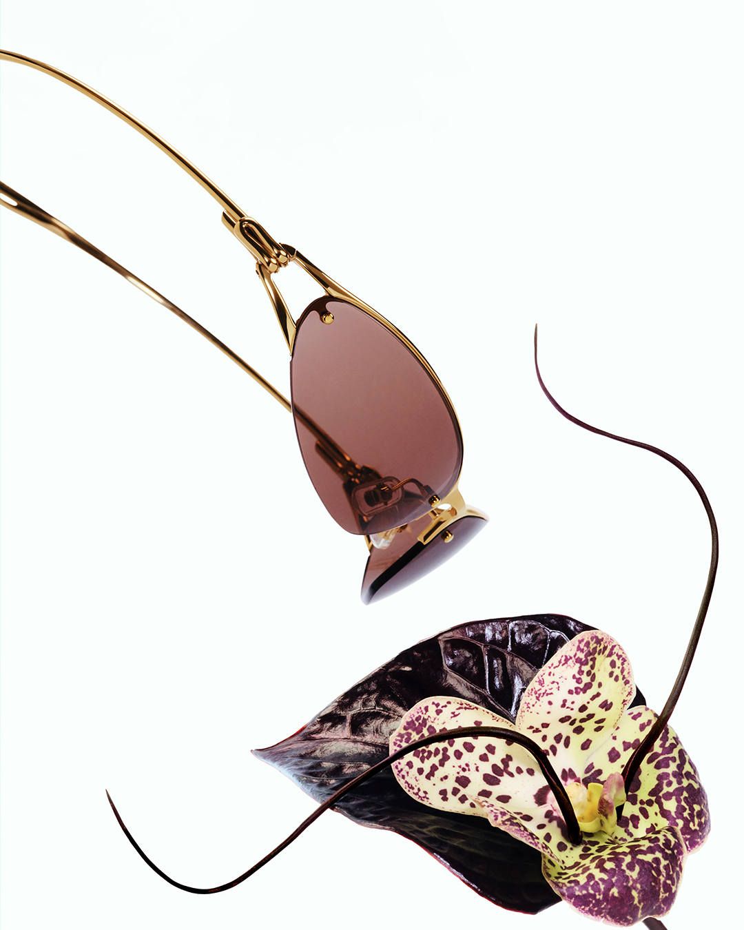 GentleMonster_Bouquet-Collection_8.jpg