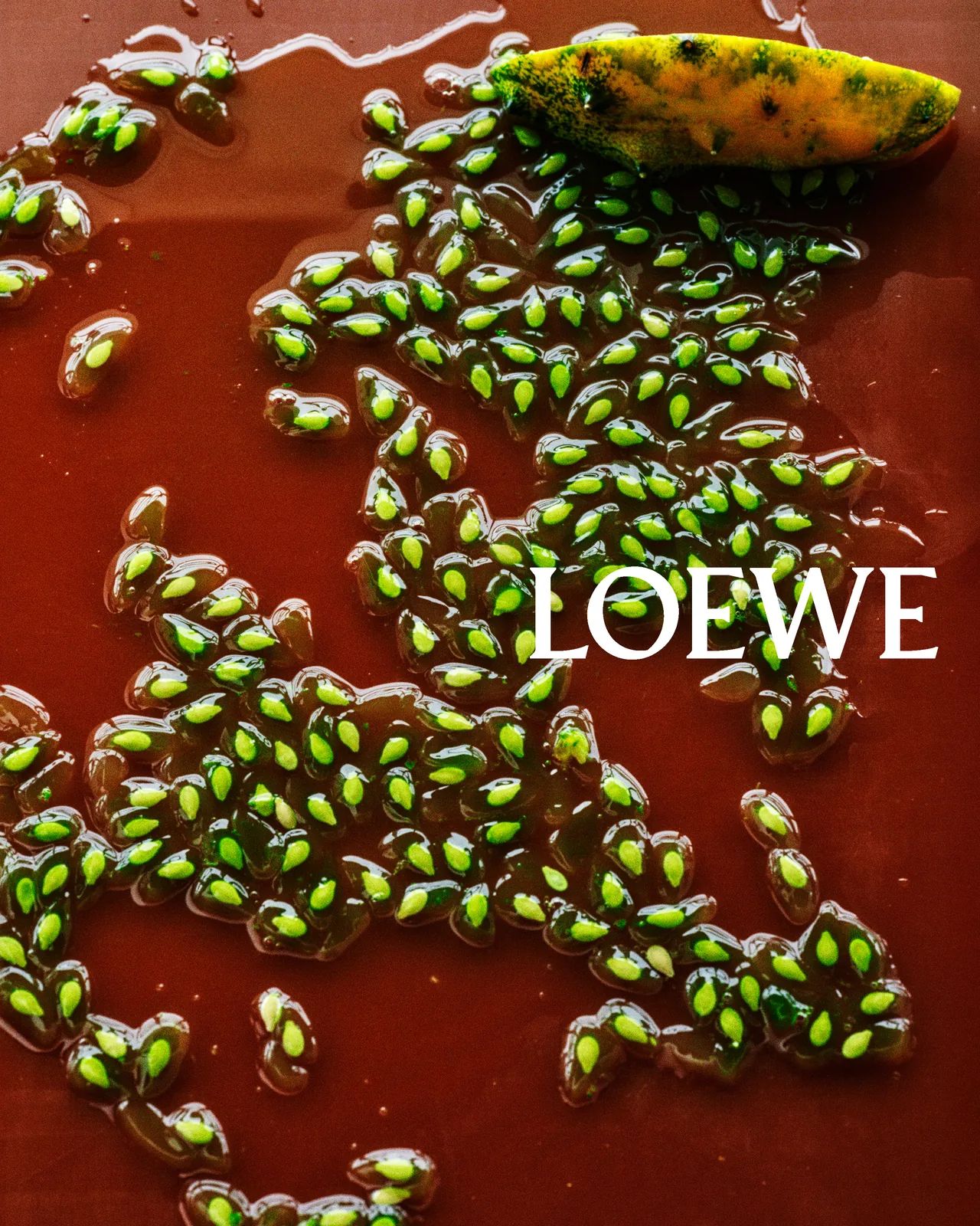metal-loewe-edit-24.webp