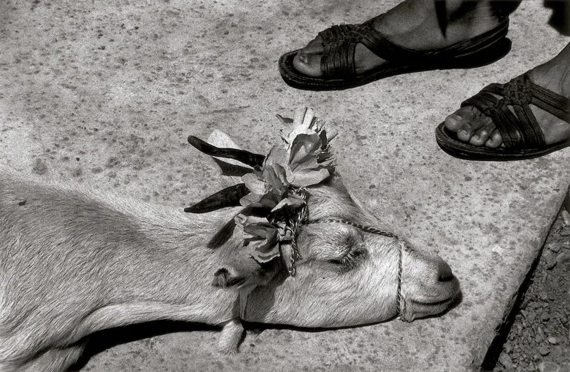 TERRENOBALDIO.GRACIELAITURBIDE.GI_PP_2.jpg