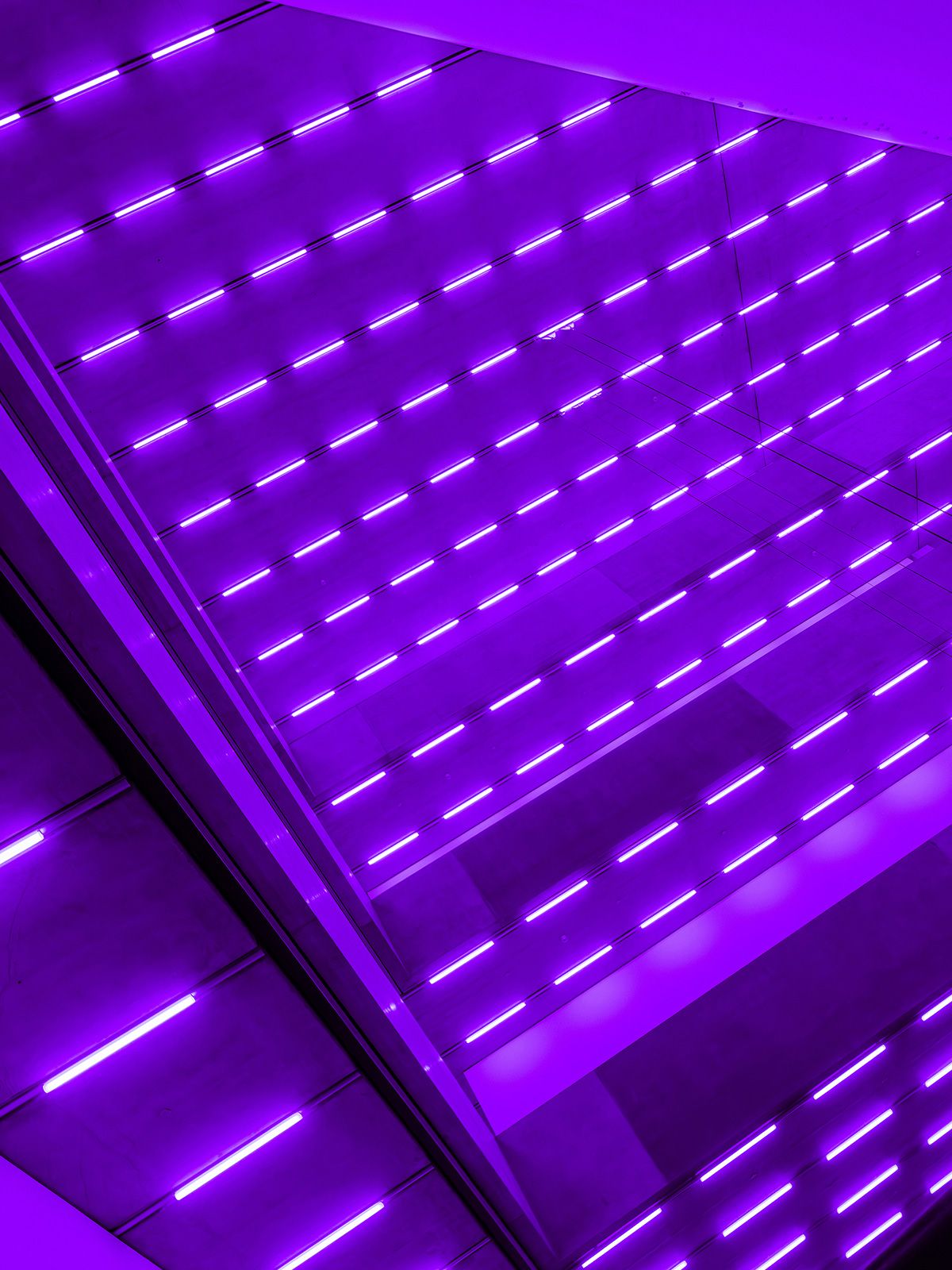 Schaulager_Steve_McQueen_Bass-installview_7.jpg