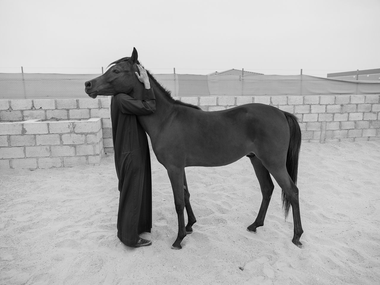 DSCF2217_Man-and-Horse_20x27.jpg