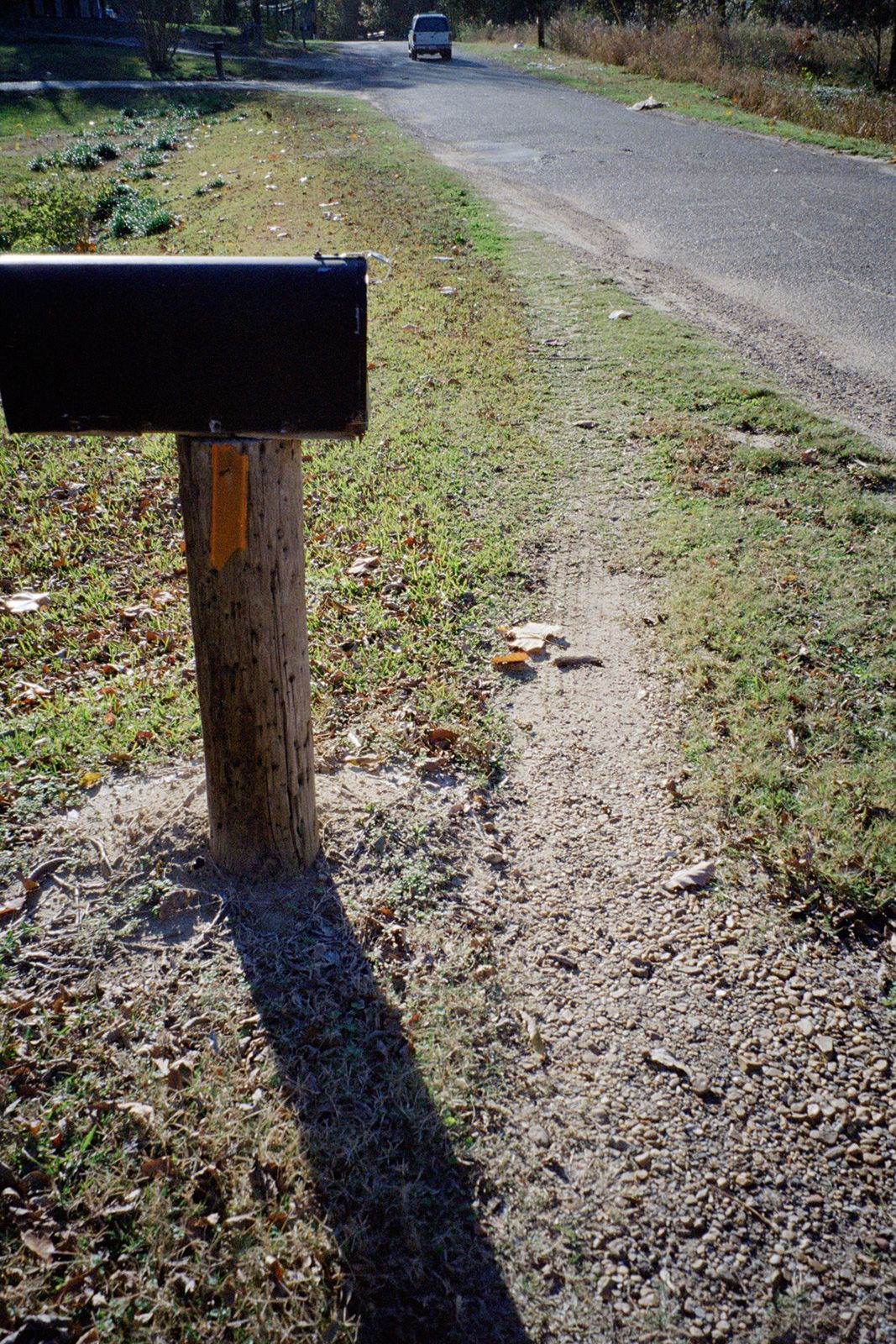 William Eggleston 414 Metalmagazine 1.jpg