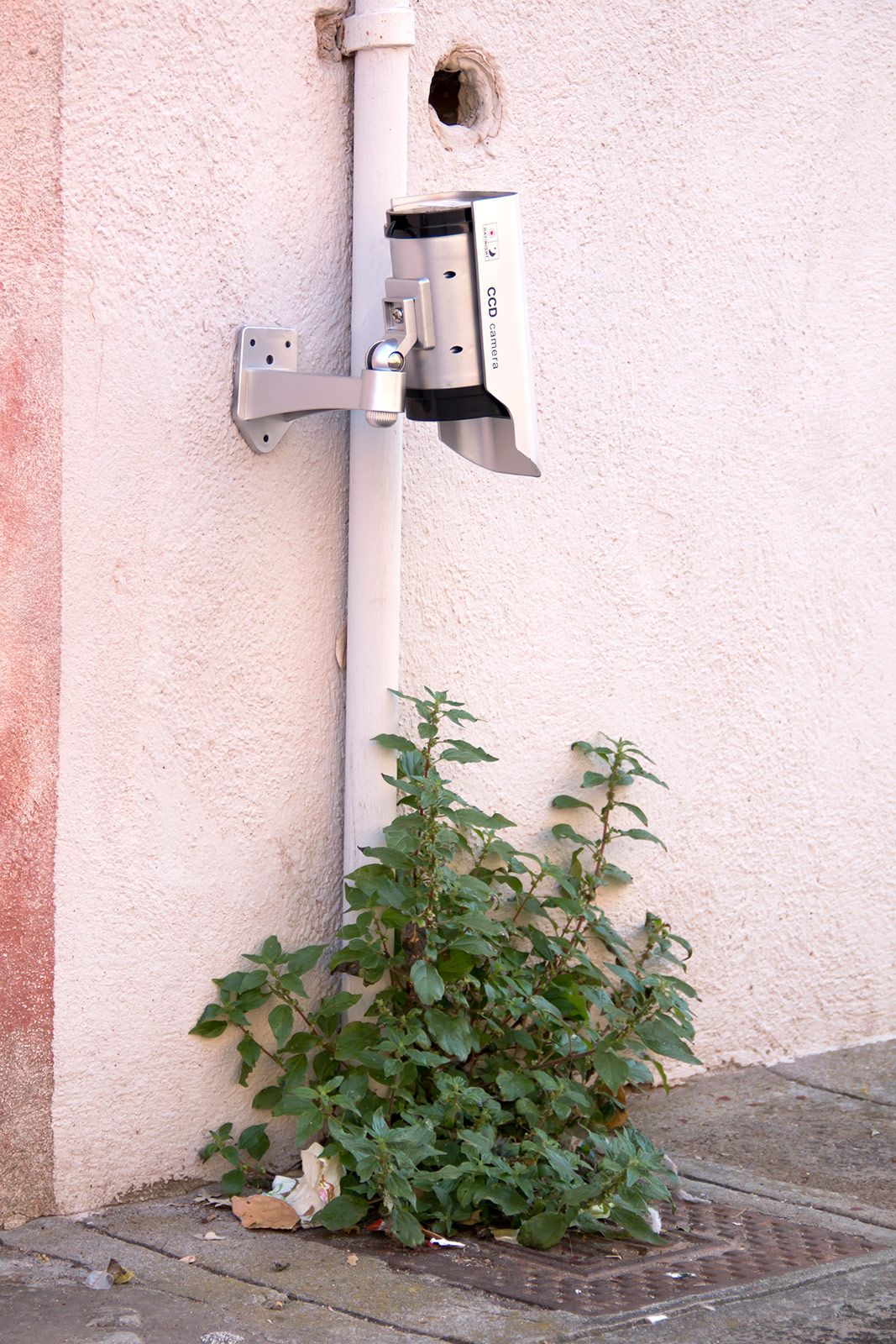 Octavi Serra Metalmagazine 3.jpg