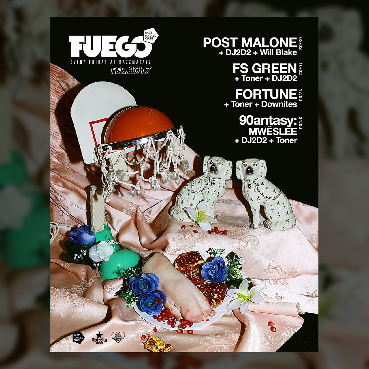 Fuego Febrero 2017.jpg