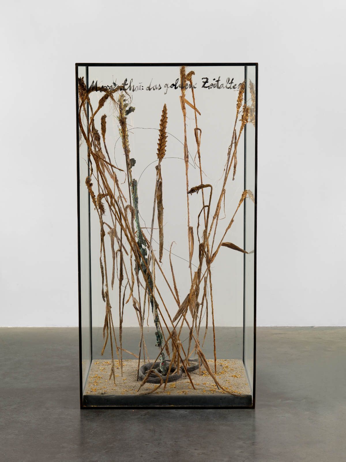 Anselm Kiefer_AK1.jpg