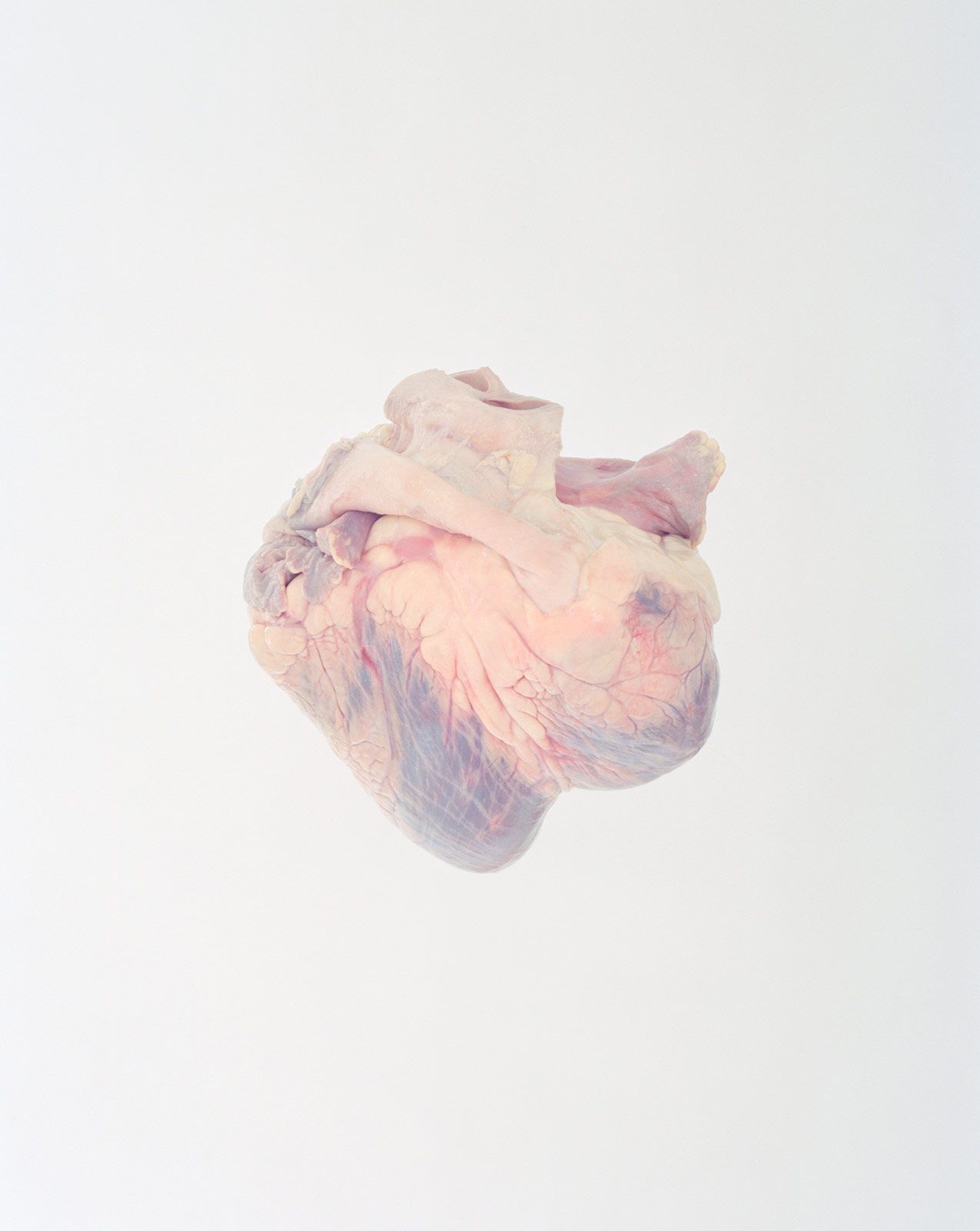 Ward Roberts Metalmagazine 20.jpg