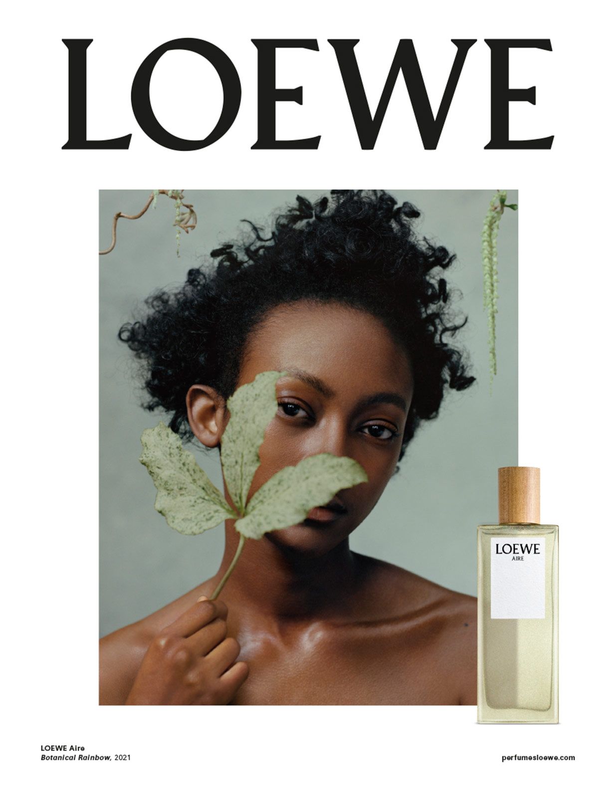 Loewe Perfumes Metalmagazine 4.jpg