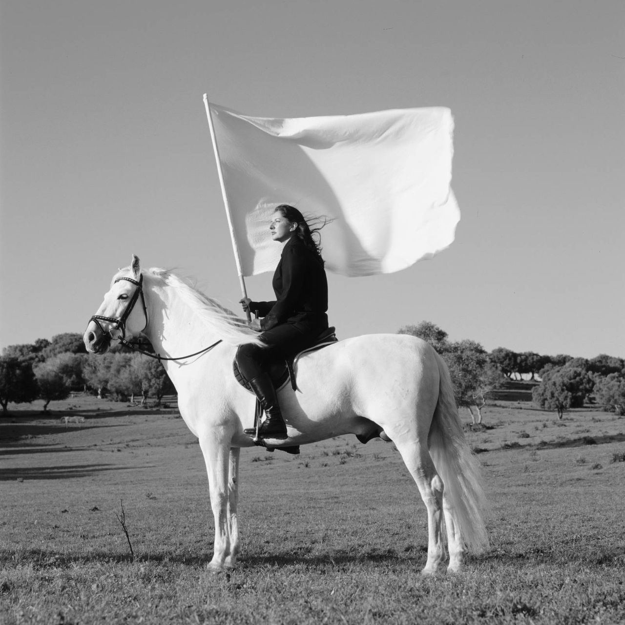 Marina_Abramovic_2.jpg