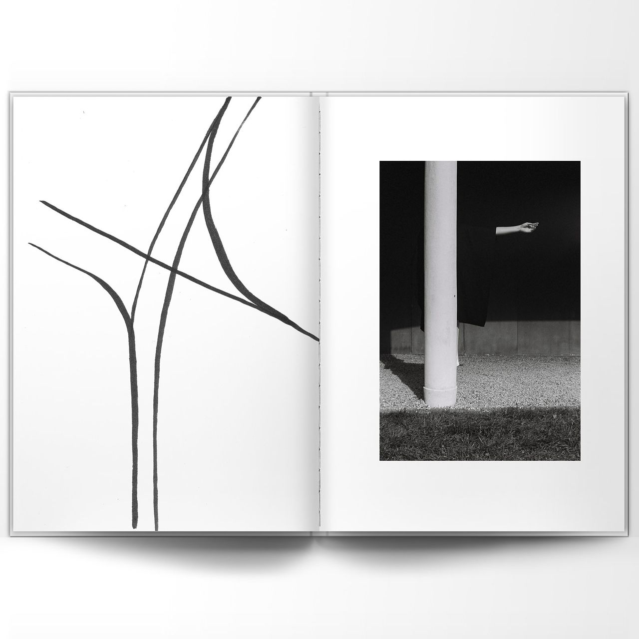 Frederic Forest Quentin Simon Dawn Wi P3.jpg