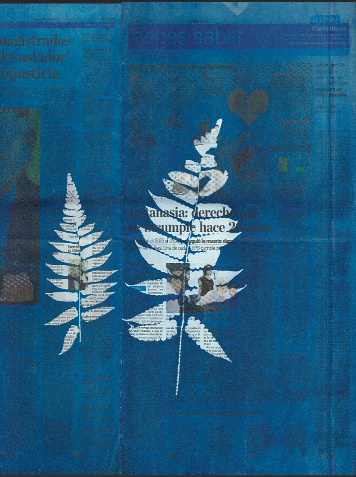 Elsa Leydier Plantanos Con Platino 8.jpg