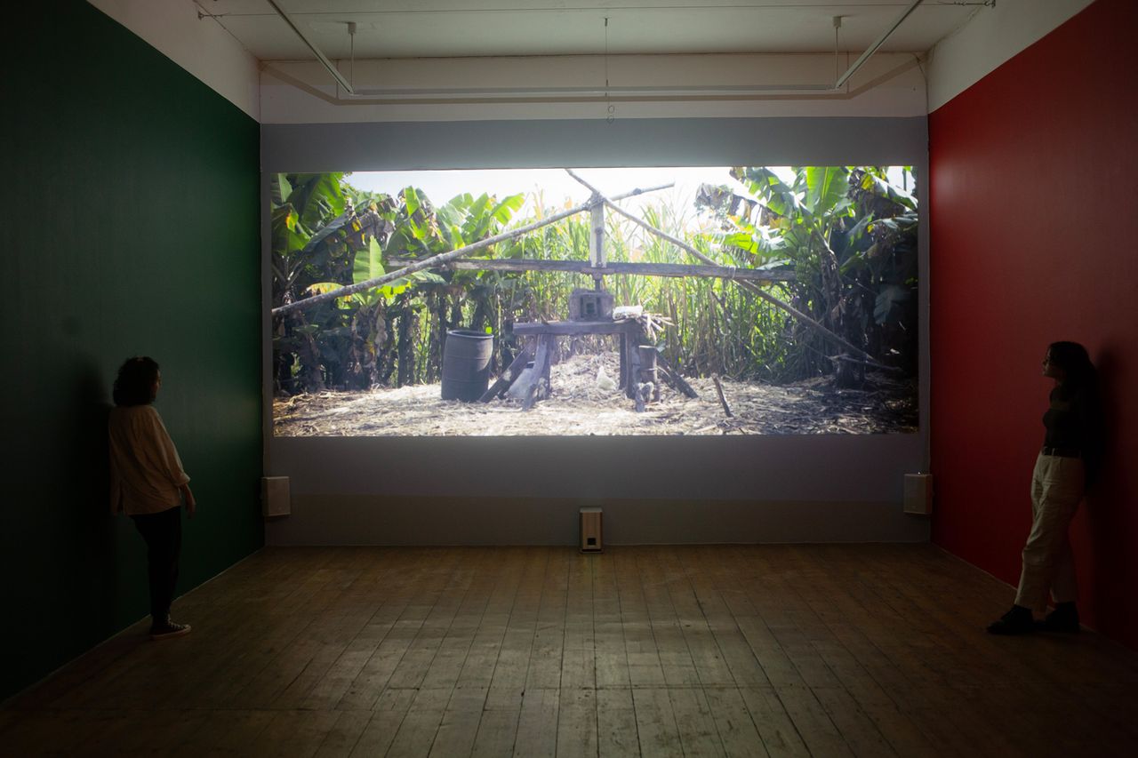 Kat-Anderson_Install-shots_7.jpg