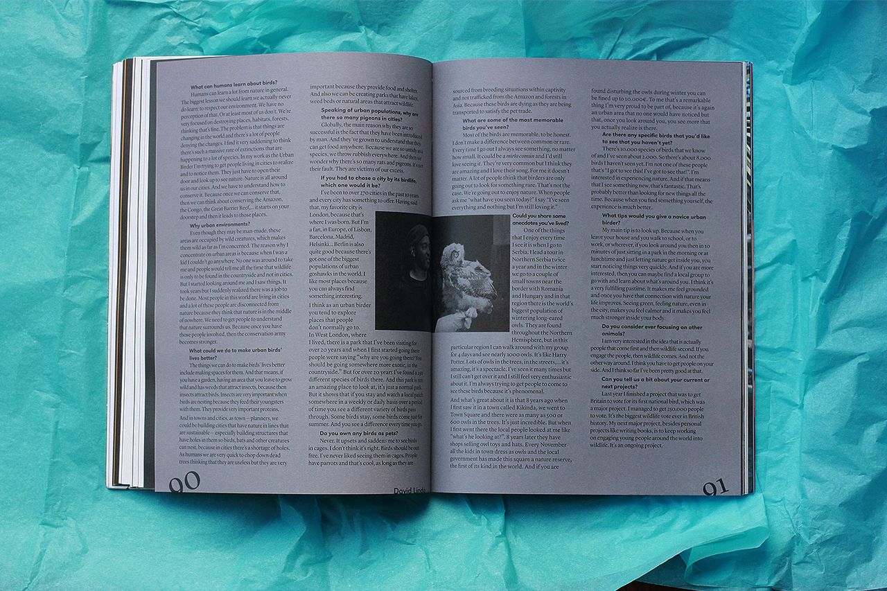 Agapornis Vol3 10.jpg
