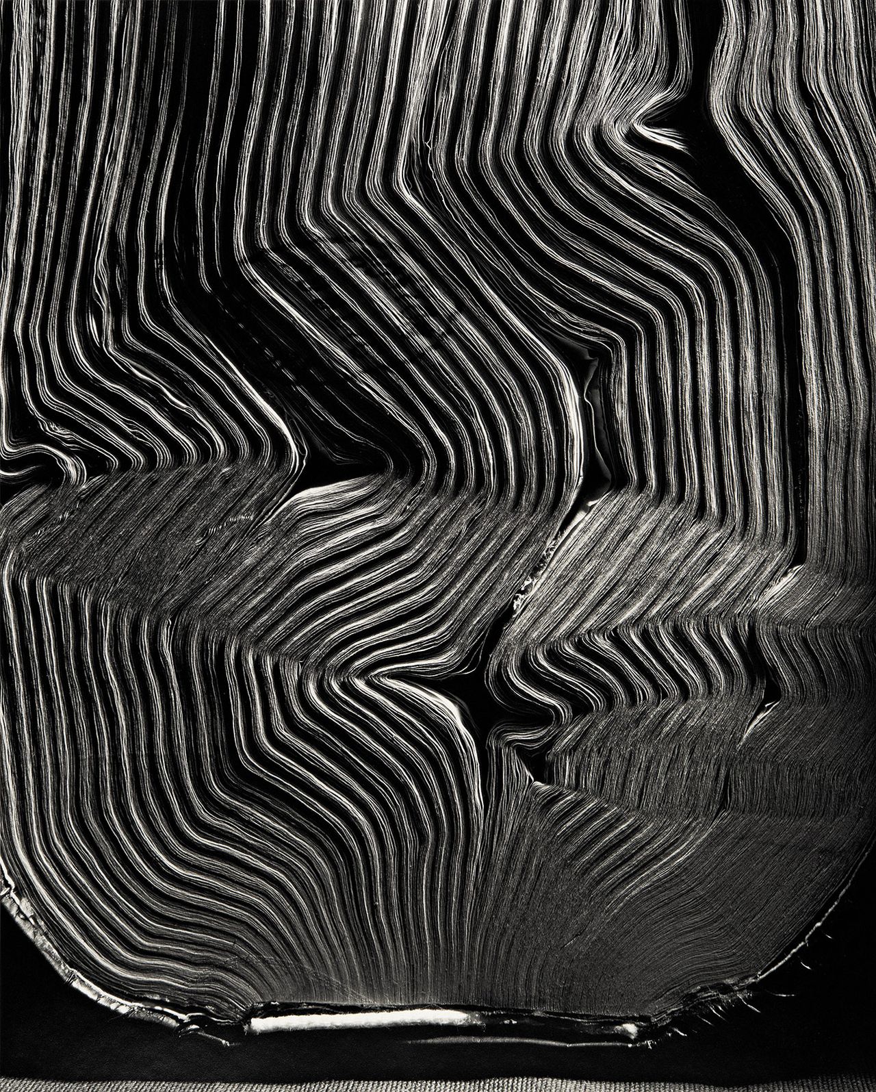 La Belleza De Las Lineas 1.jpg
