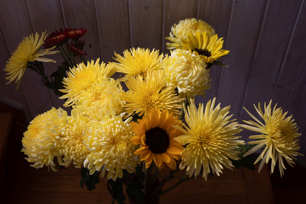 Wt F 2019 094 A4.jpg