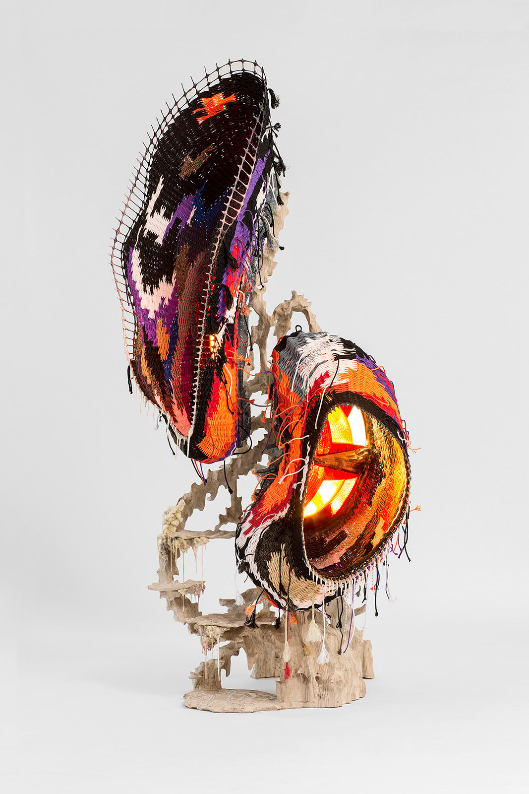 The Metamorphosis Growth Front White Tadeas Podracky.jpg