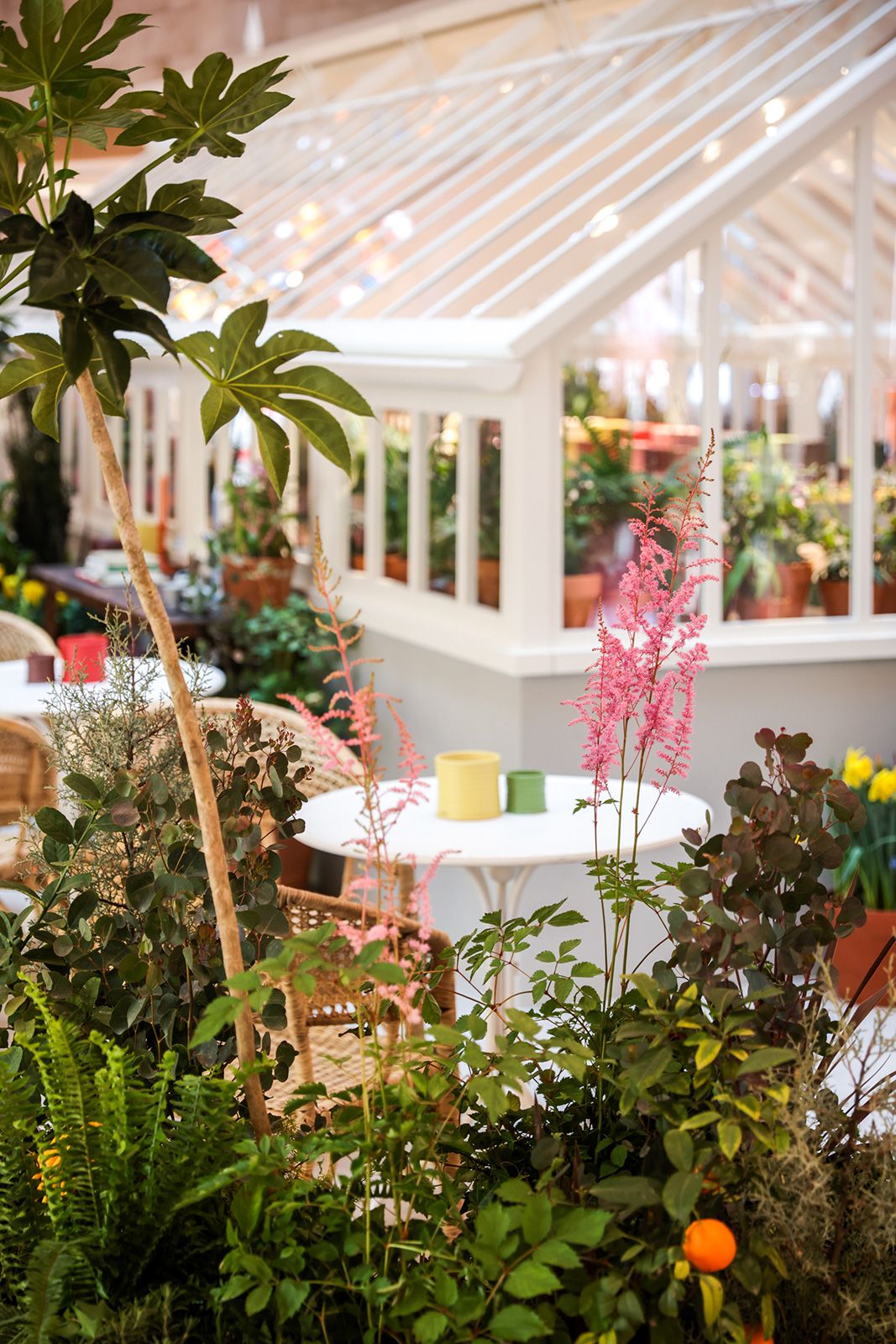 Loewe Greenhouse 3.jpg