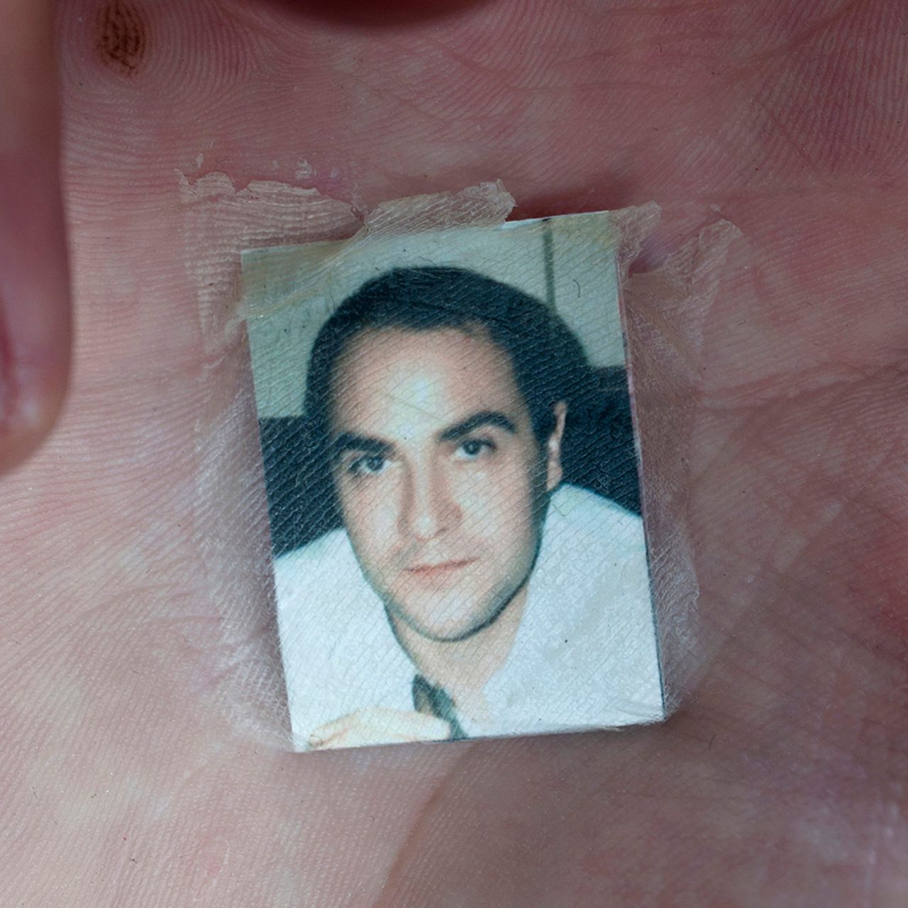 Davidcata 6.jpg