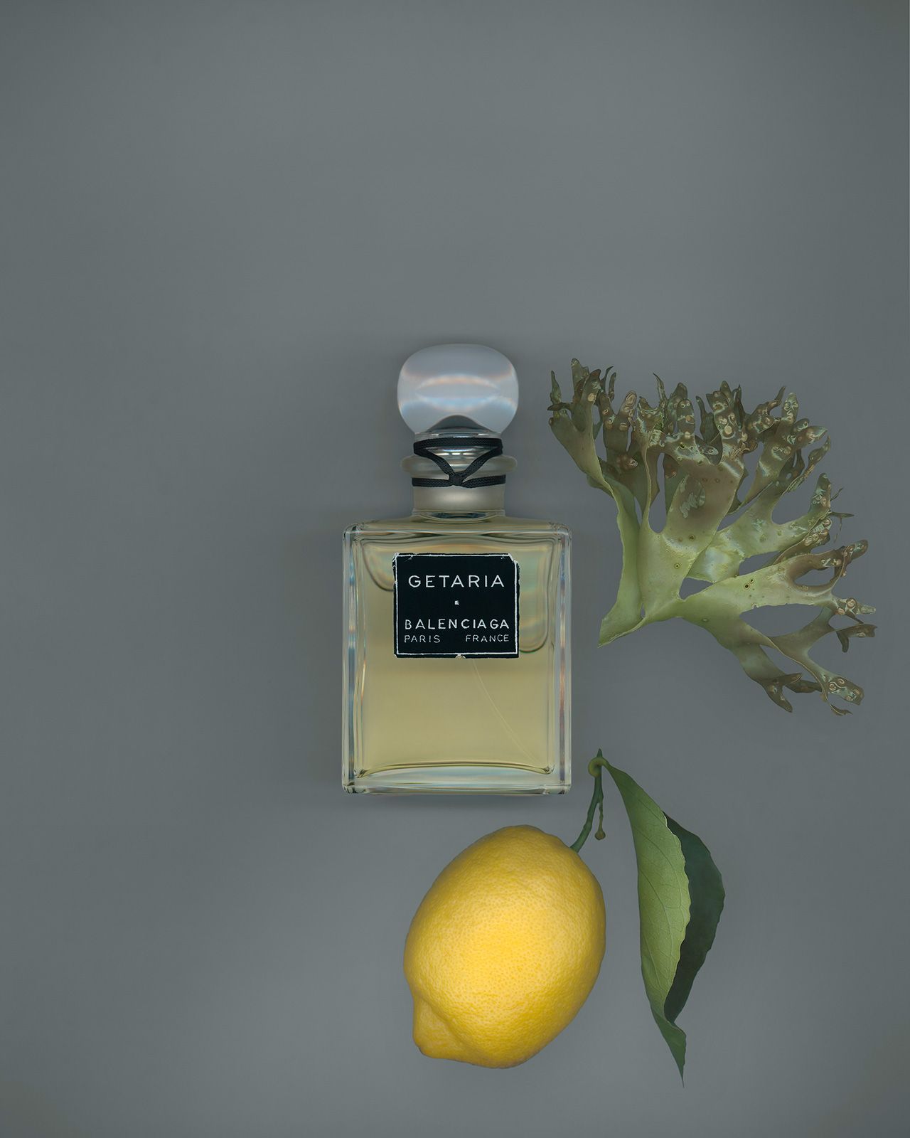 BALENCIAGA-FRAGRANCE-COLLECTION-GETARIA-MOOD.jpg
