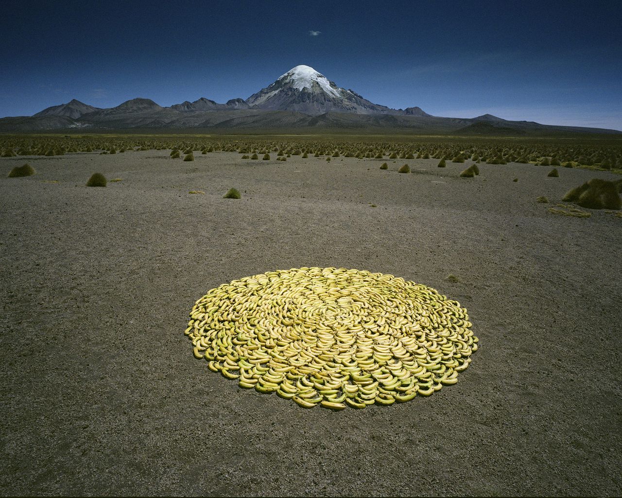 Scarlett Hooft Graafland Metalmagazine 1.jpg