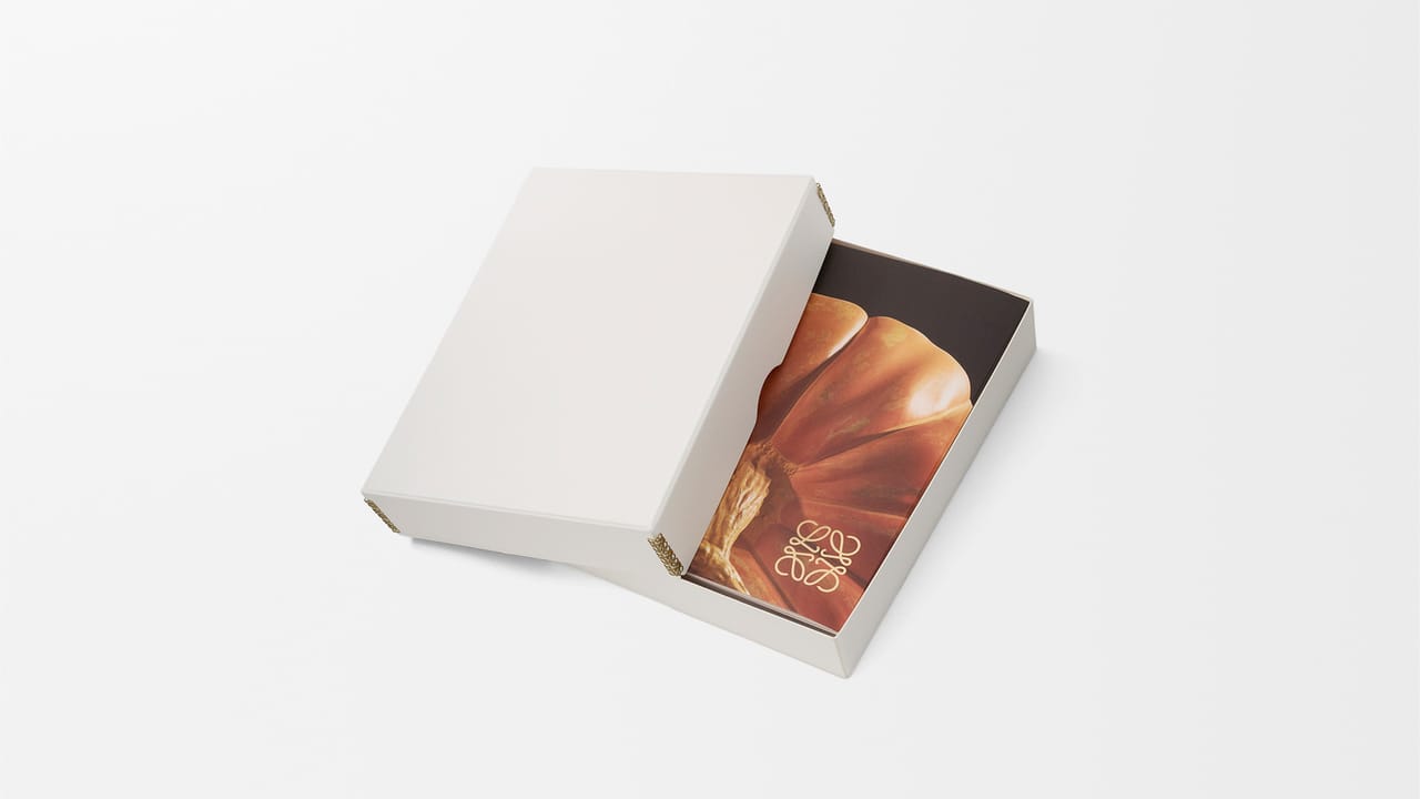 Crafted-World_Jonathan-Anderson-Loewe_6.jpg