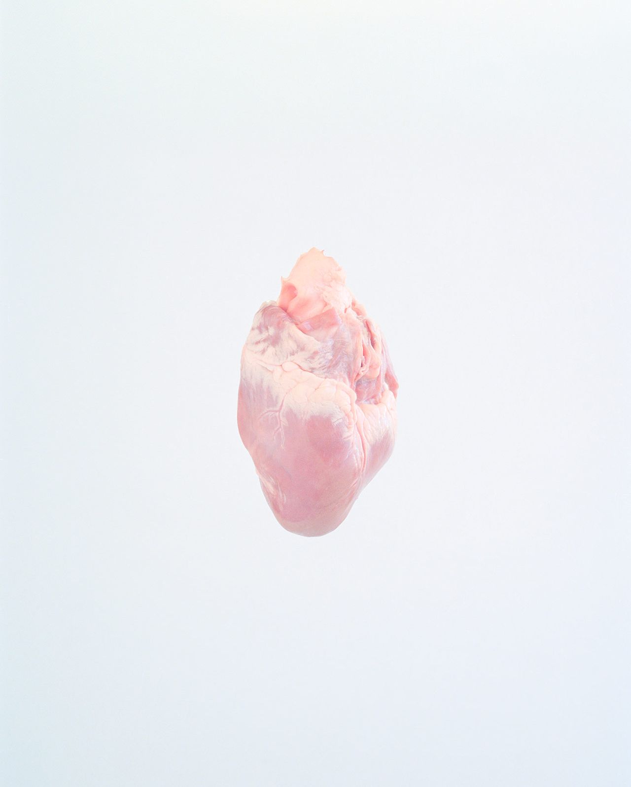 Ward Roberts Metalmagazine 6.jpg