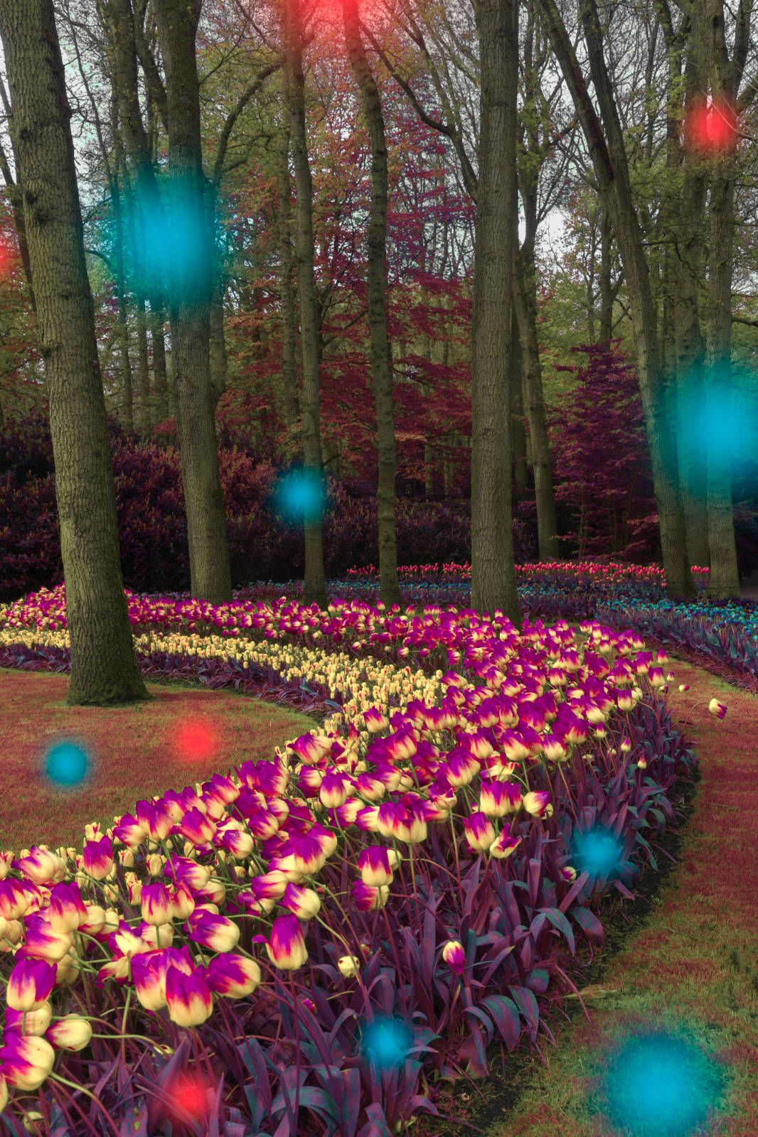 18_Claudia_Fuggetti_The Path copia.jpg