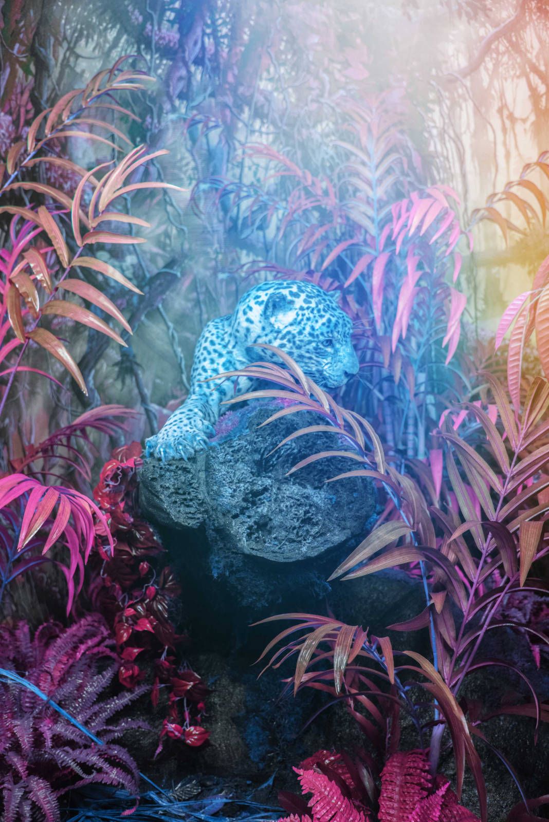 03_Claudia_Fuggetti_The Jungle.jpg.jpg