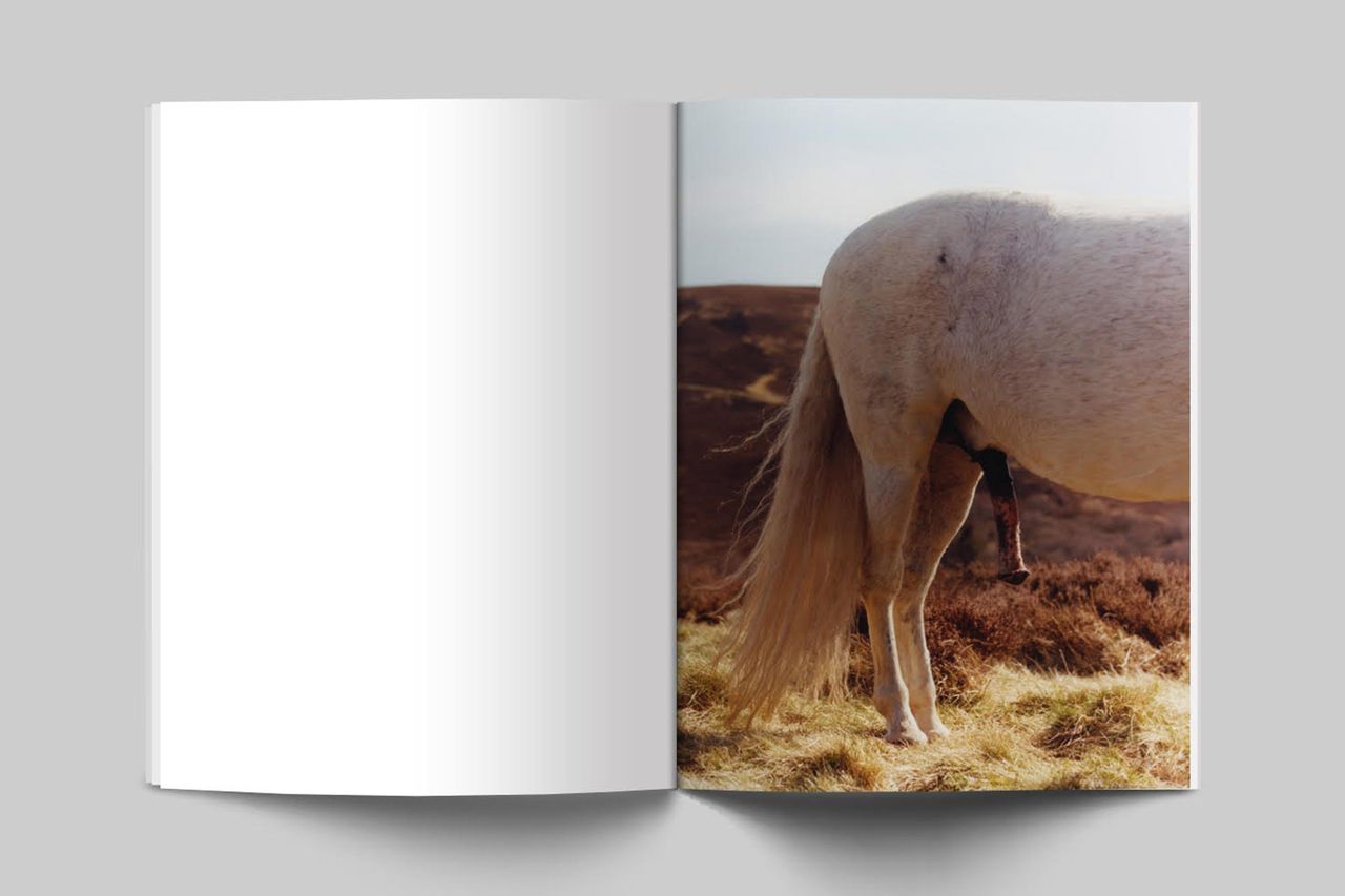 Harley Weir Baron Magazine4.jpg