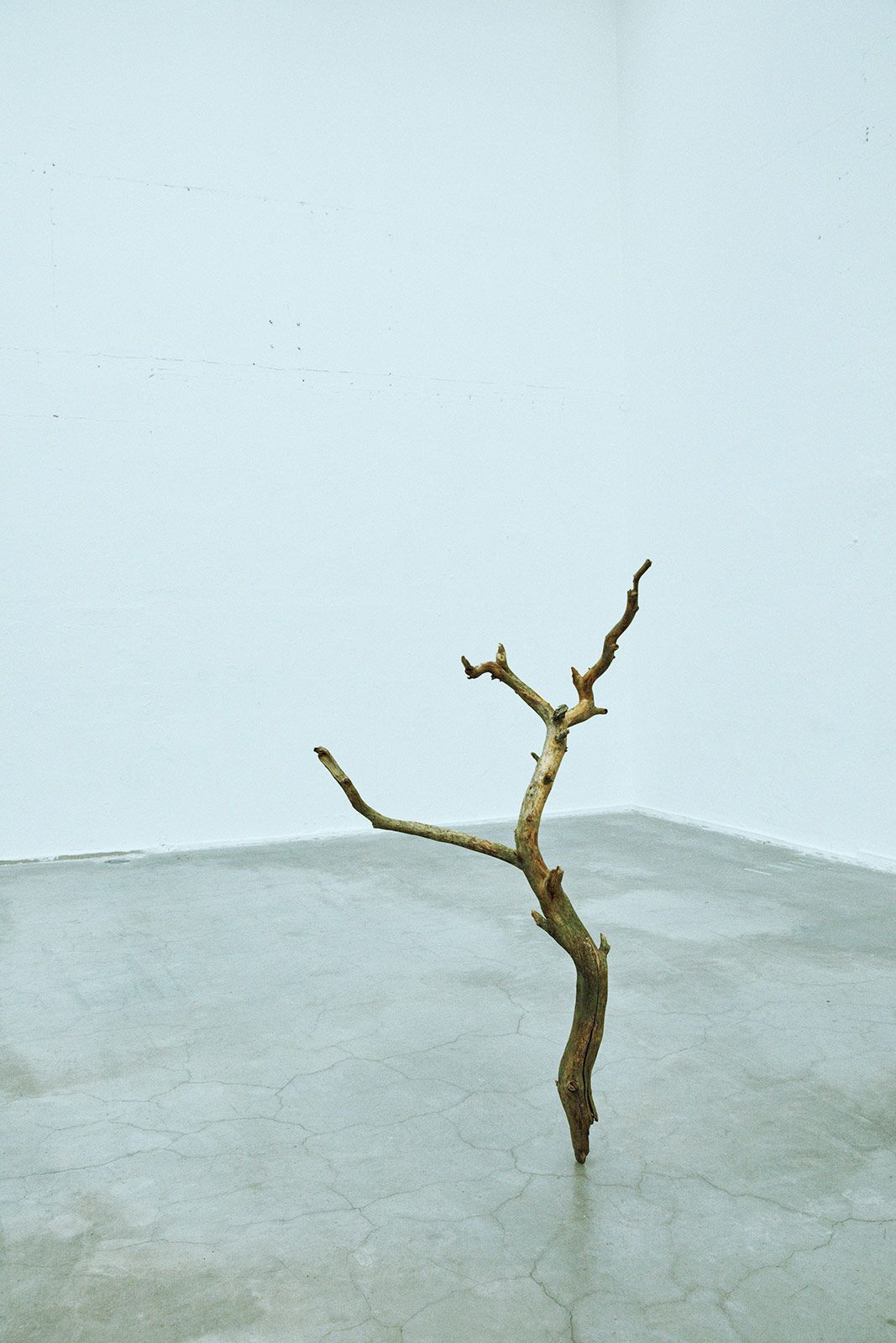 Rickard Sund Metalmagazine 10.jpg