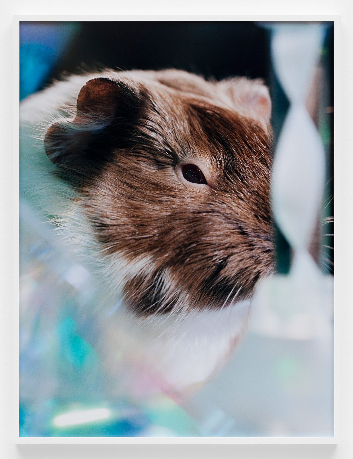 2019 Studio Photography 15.jpg