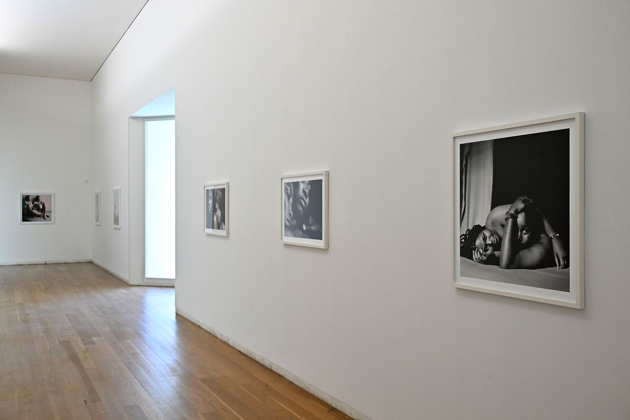 nvstudio_005.jpg