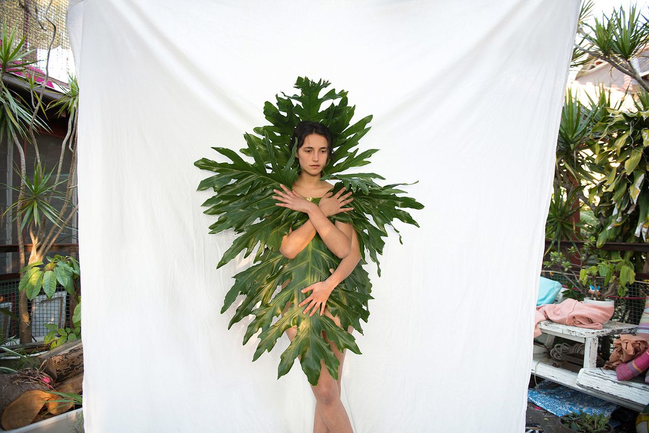 Prue Stent Honey Long Venus Fly Trap.jpg