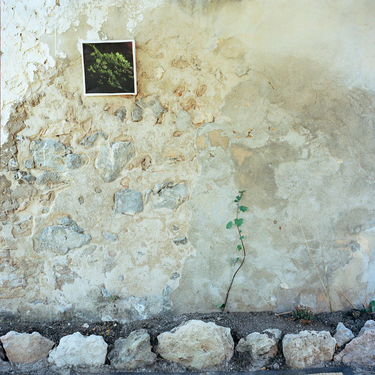 Riccardi Valentina 08.jpg